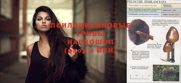 ешки Алексин
