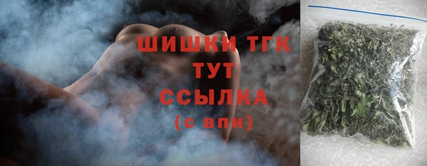 гашик Алексеевка